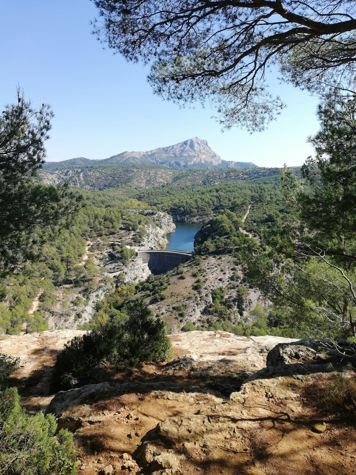 Bivouac dans les Volcans d'Auvergne : Guide complet