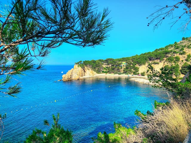 Bivouac dans les Calanques de Marseille : Guide complet