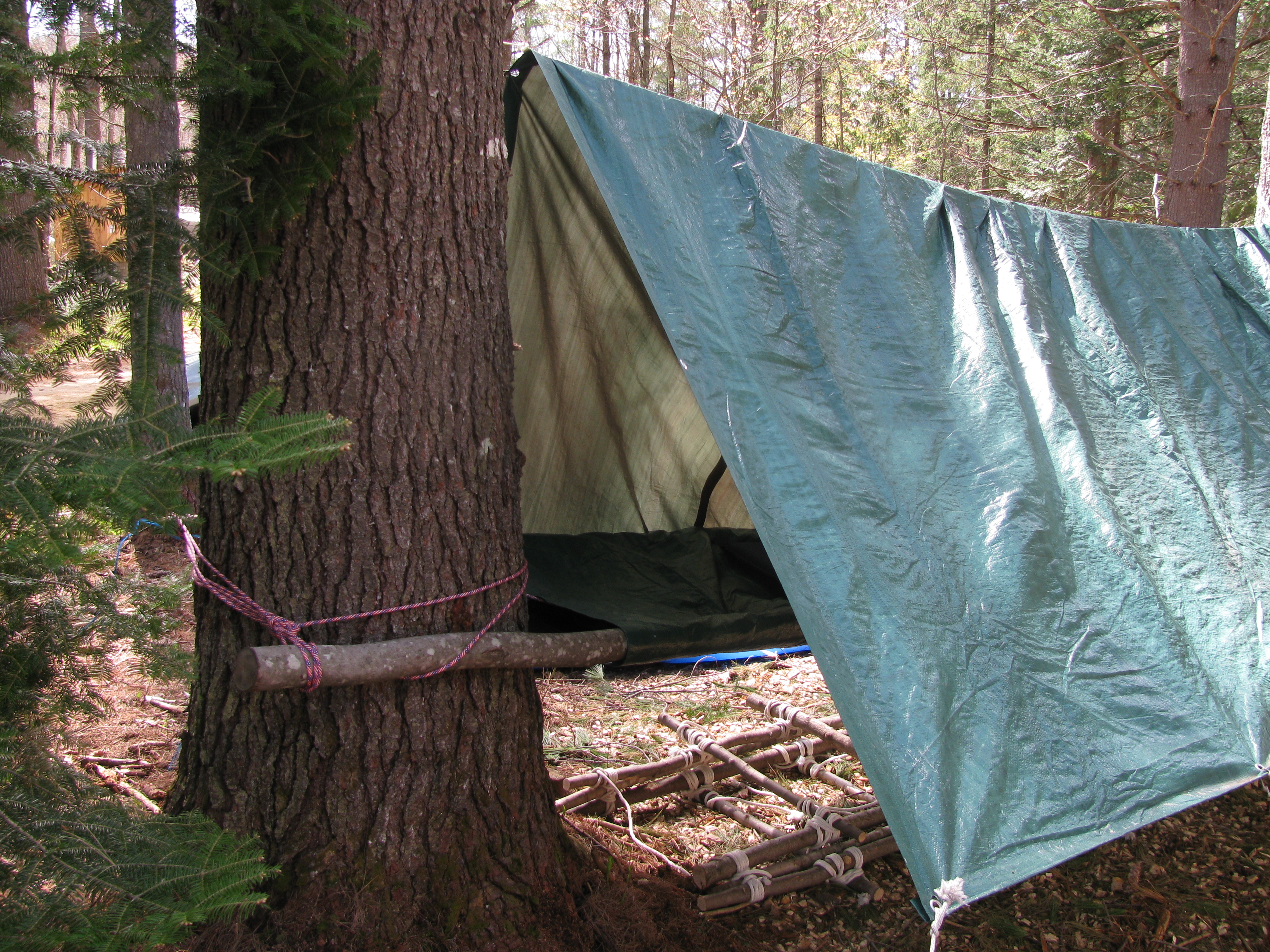 Tarp monté en A-frame entre deux arbres