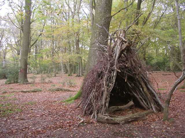Abri de fortune en branchages et feuilles